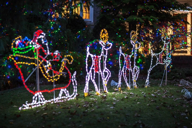 Holiday lighting design options